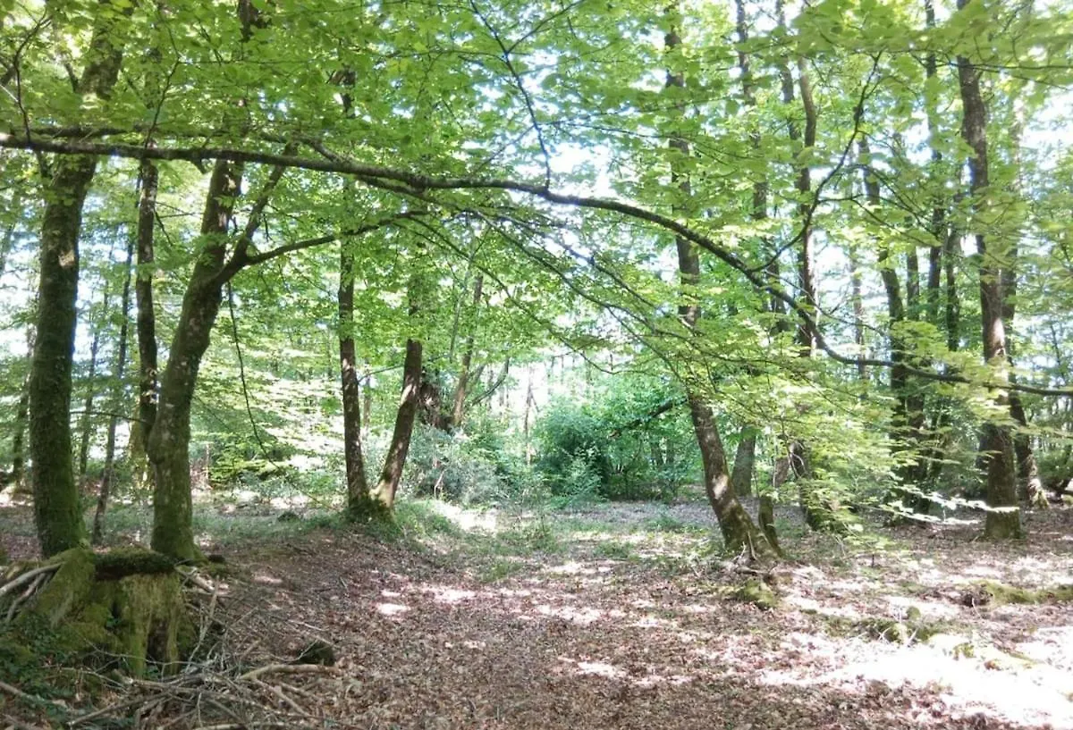 Gite - La Maison Kernascléden 0*,